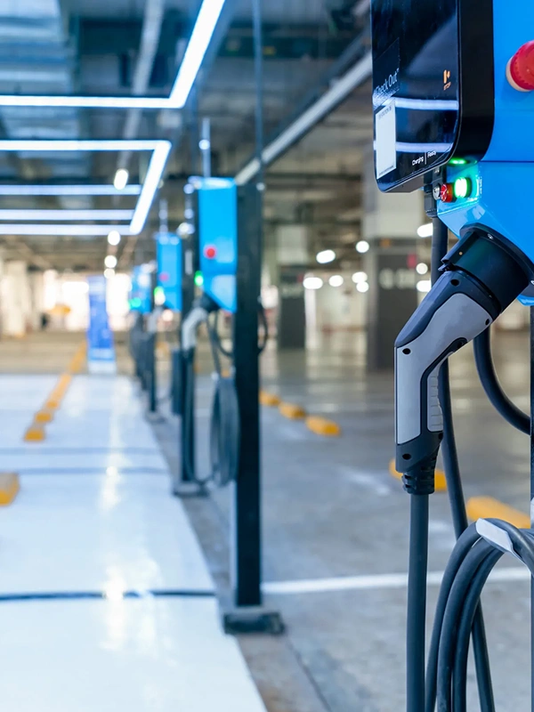 Our Mission / Our Purpose - Shaw Consulting Services, LLC